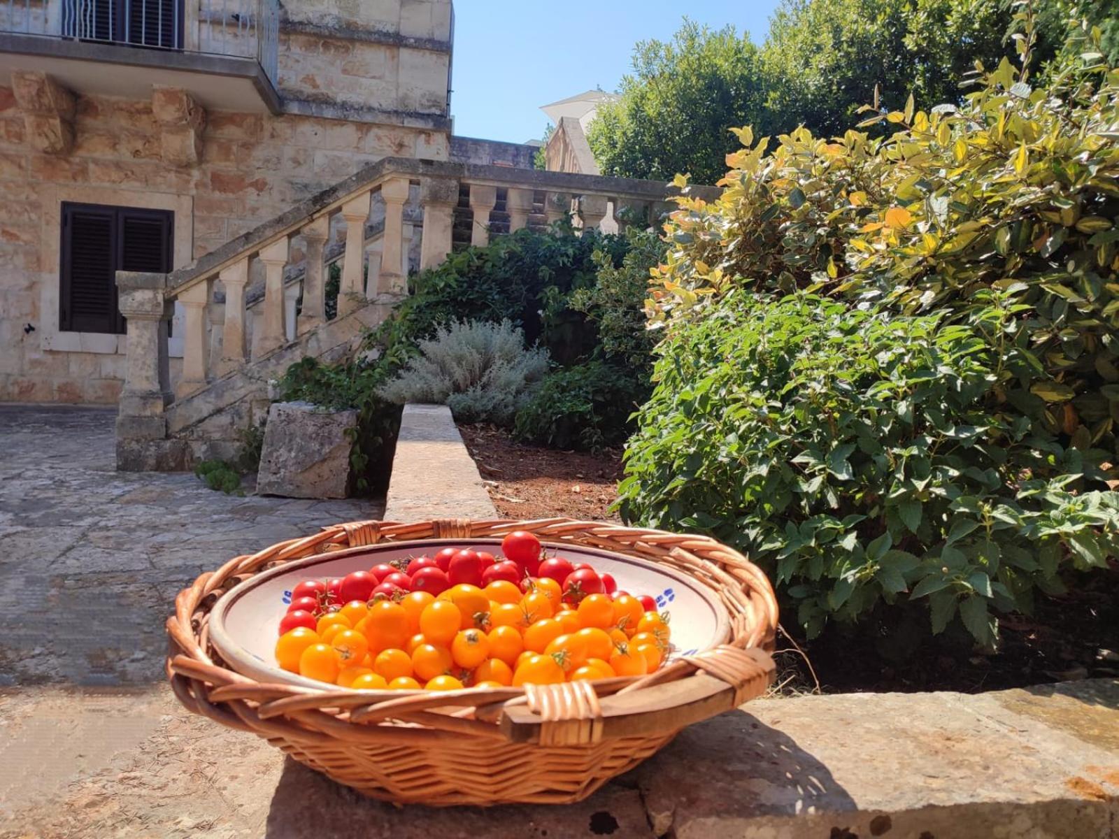 Villa Ostuni مونوبولي المظهر الخارجي الصورة